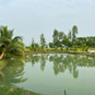 Sundarban Residency  Restaurant  for inside thumb