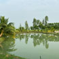 Sundarban Residency playground(1) thumb